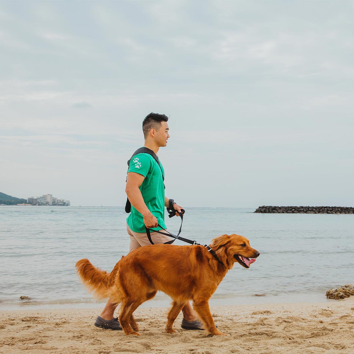 image of dogwalker from dogwalker etc. walking a dog on the beach.