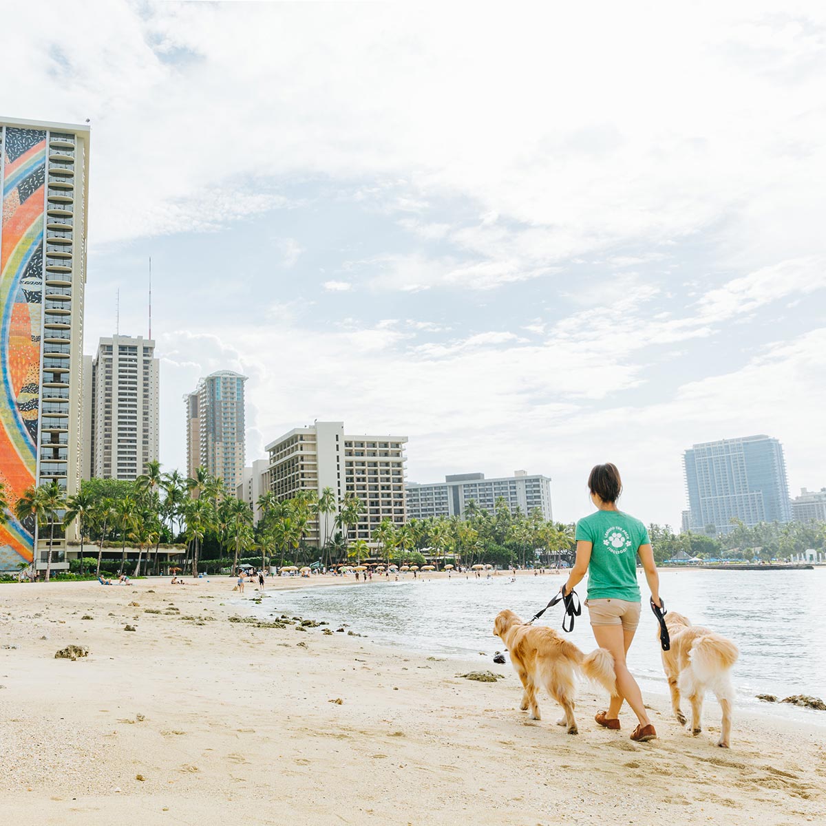 image of dogwalker from dogwalker etc. walking a dog on the beach.