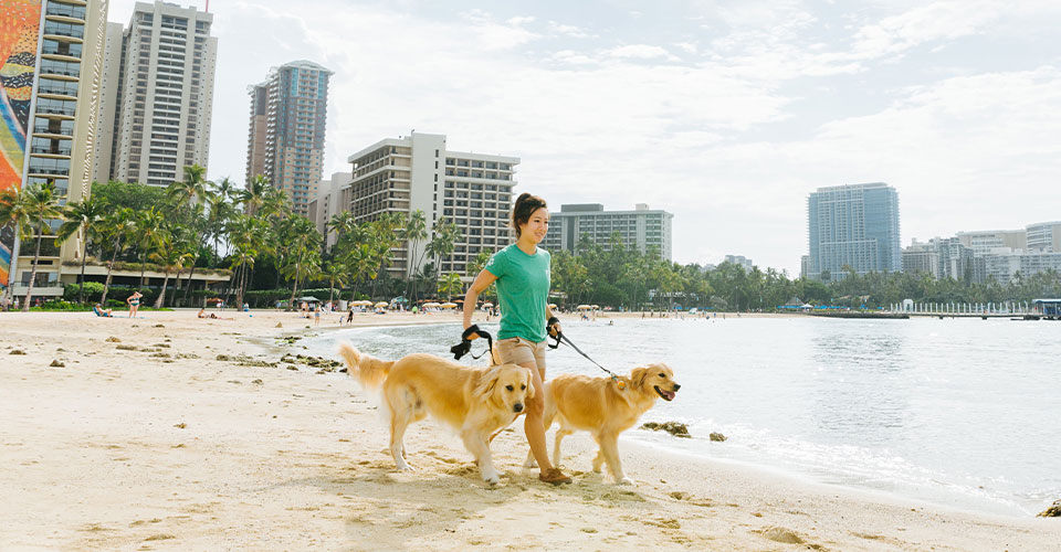 image of woman from dogwalker etc. walking a2 dogs on the beach