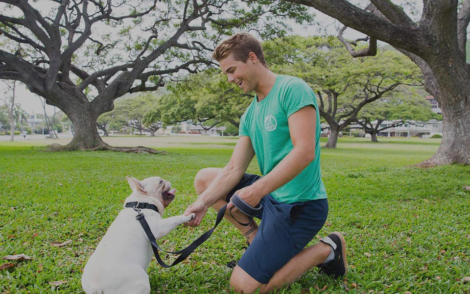 image of Dogwalker Etc. pet care specialist with cute dog at the park