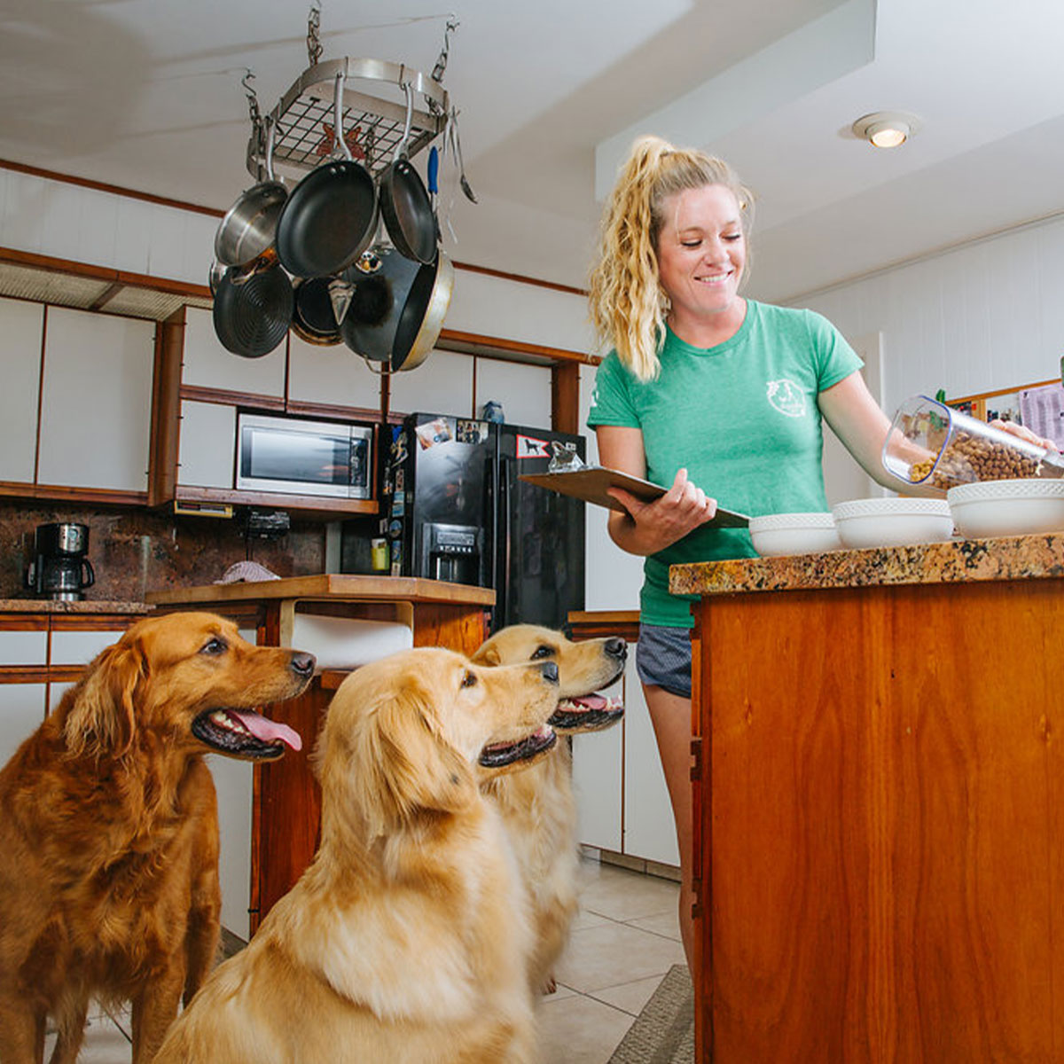 image of worker from Dogwalker Etc. holding a black cat.