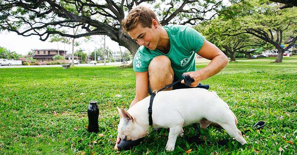 image of employee from Dogwalker Etc. giving a dog water