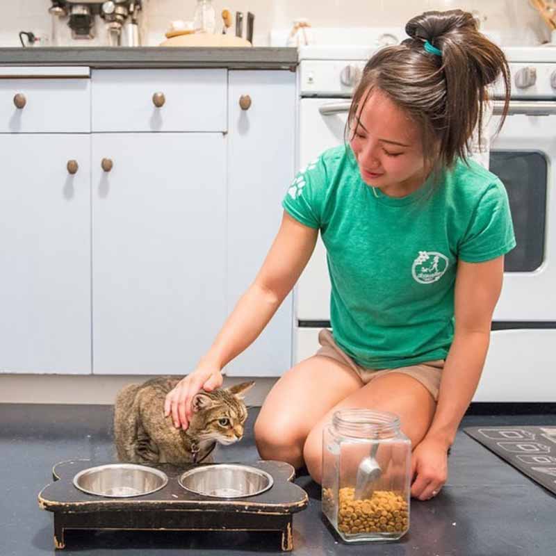 image of Dogwalker Etc. employee taking care of a cat