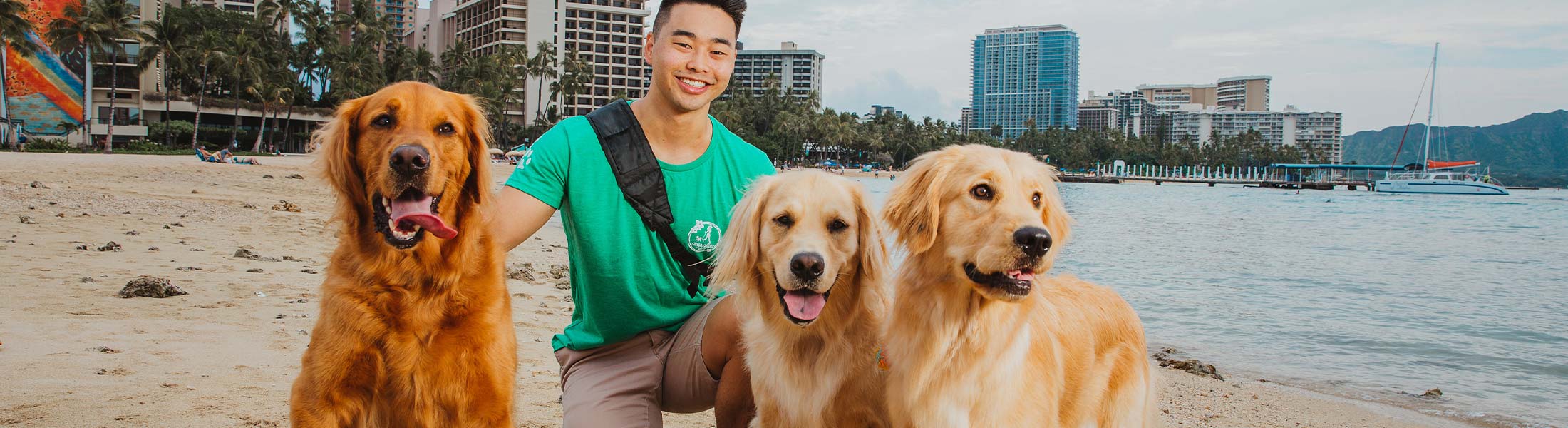 image of employee dog walker walking 2 dogs for training